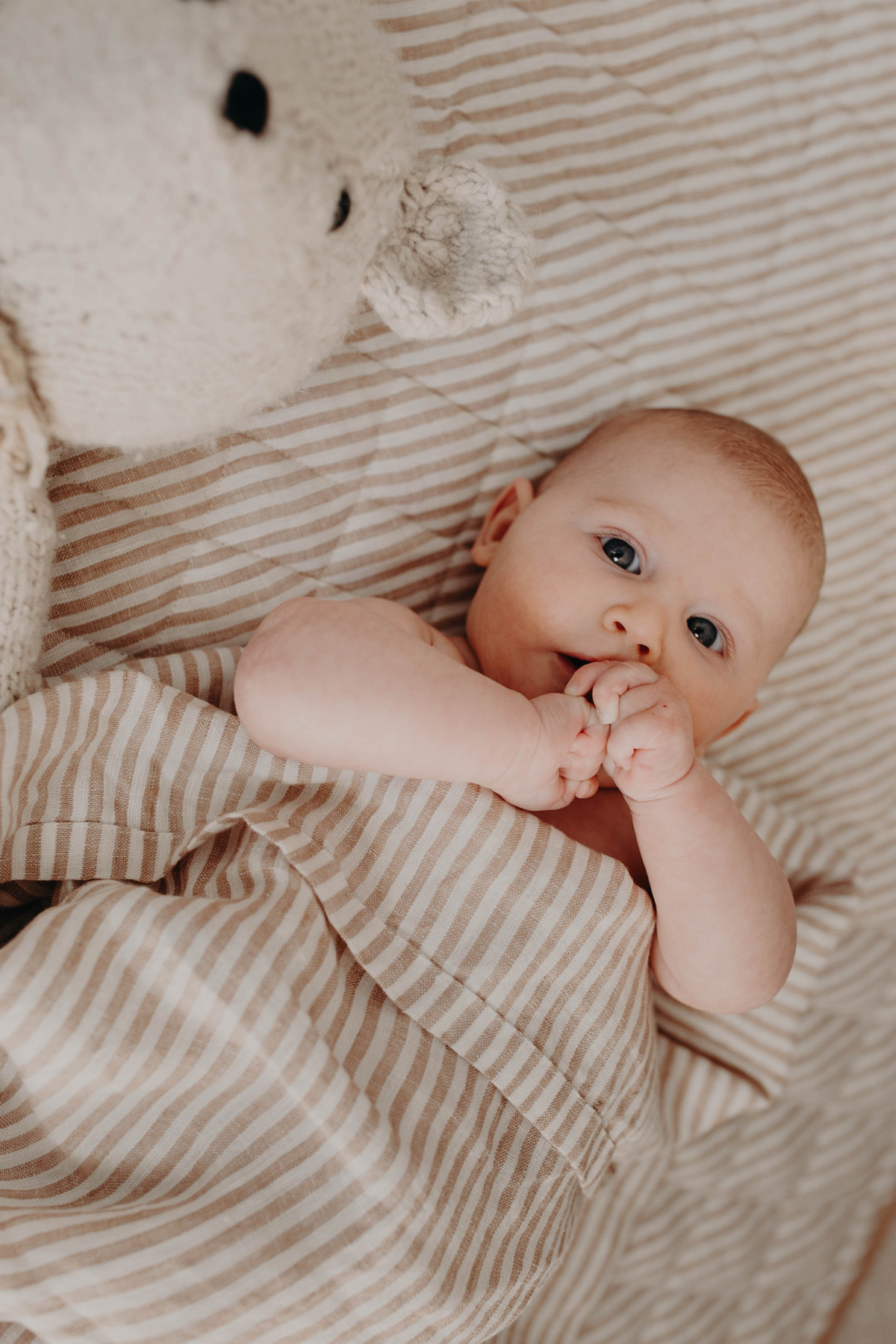 Newborn with fingers in her mouth lying loosely wrapped in the Burleigh stripe linen swaddle, a soft toy beside her