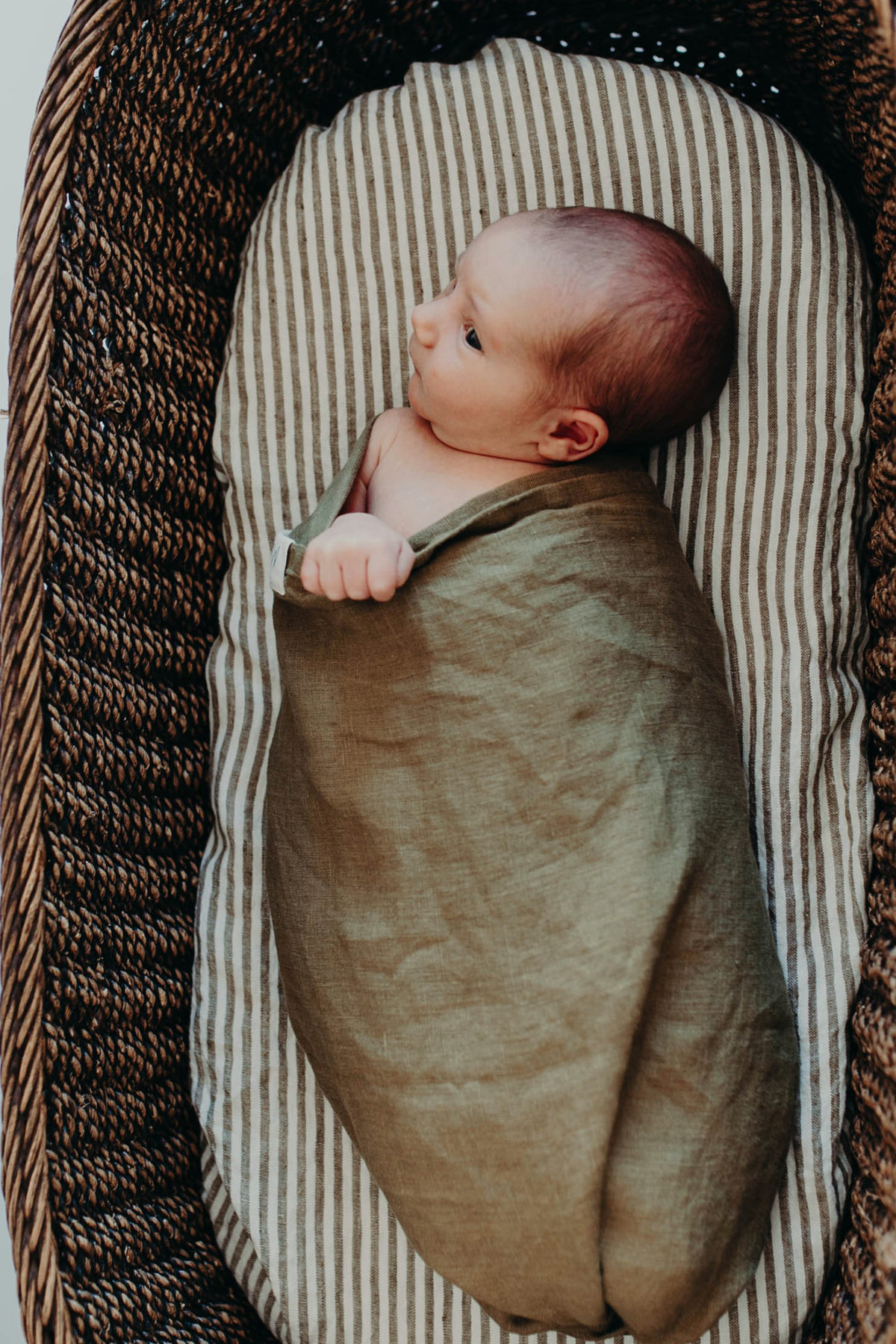 Newborn in a woven bassinet, arms tucked into the olive Willow linen swaddle and looking to one side