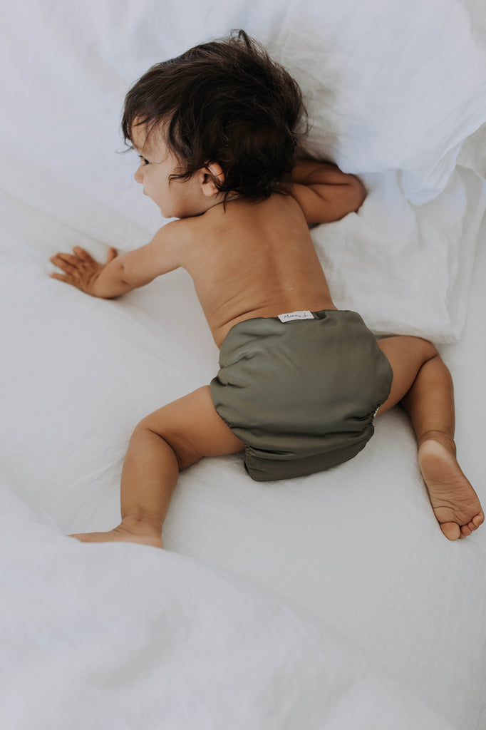All-In-One Cloth Nappy - Olivia