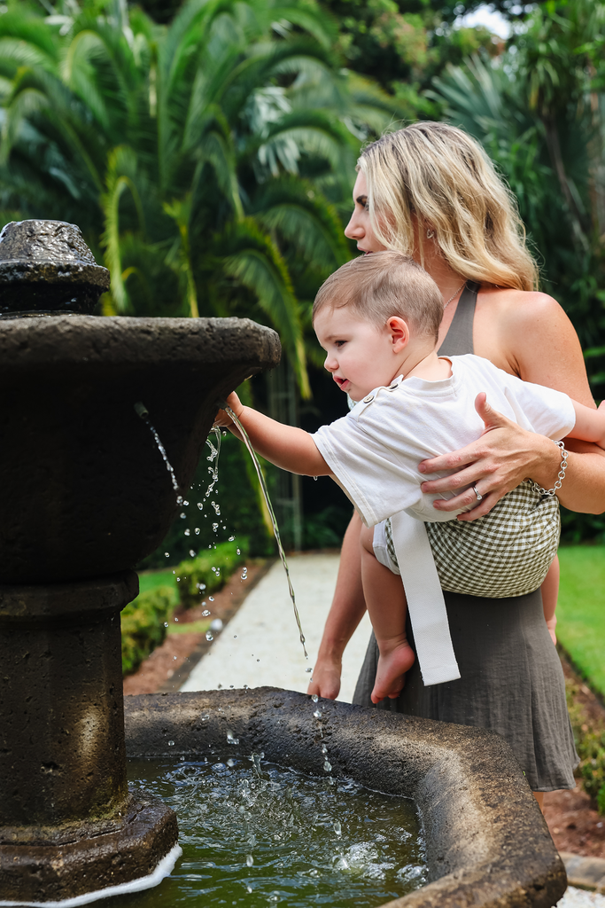 Hipsy Carrier - Capri