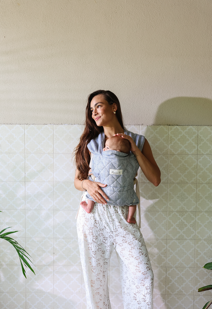 Daily Carrier - Lane