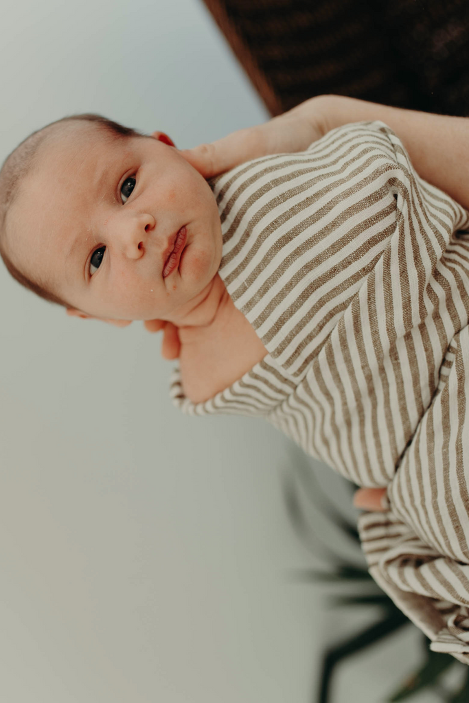 Swaddle - Cove