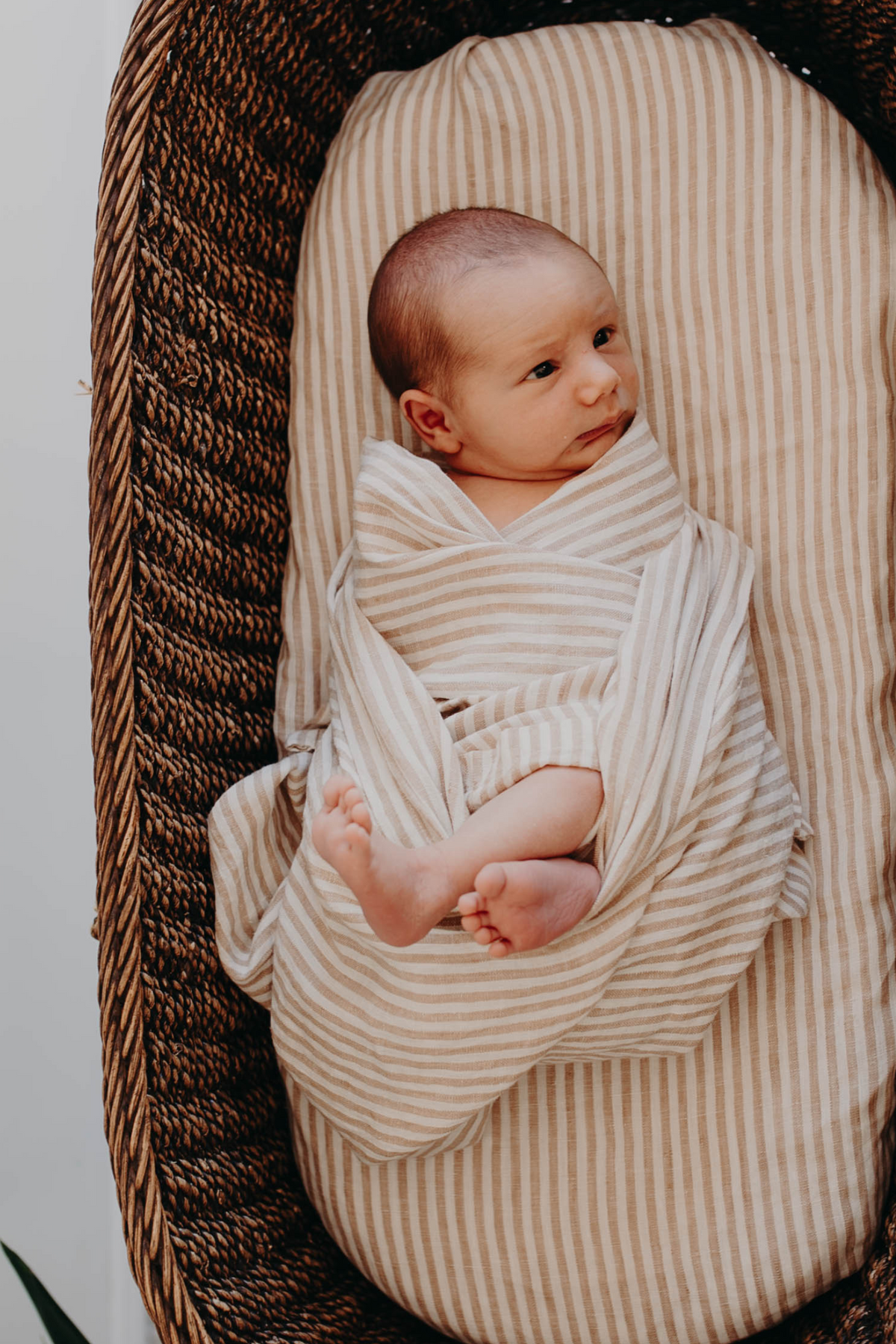 Newborn swaddled in the Burleigh stripe linen swaddle, looking out from a woven bassinet